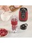 Blendfit Go Personal Kişisel Smoothie Blender Rudolph Red 8