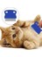 Zeroshop Kedi Köpek Tüy Temizleme 4'lü Set 5