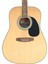 F800N Akustik Gitar 4