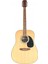 F800N Akustik Gitar 5