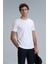 Junya Erkek Basic Tişört Siyah 11