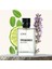 E-117 Frequence Parfume Edp 50ML Erkek Parfüm 1