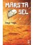 Mars'ta Sel 1