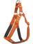 Köpek Bel Tasması 95CM Xx-Large Tcu - Lisinya 1