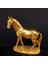 Gold Renk At Biblosu - Lisinya 1
