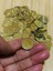 Ince Metalik Kaplama Tuğra Plastik Pul 20MM. Tahmini 100 Adet Civarı. Gold. 2