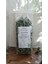 Limon Melisa,oğul Otu, Nane Balsamı,acem Otu,limon Otu, Melissa Officinalis 20G 1