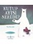 Kutup Ayısı Nerede? 1
