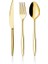Gold Dine 48 Parça 8 Kişilik Çatal Kaşık Takımı Kutulu (Titanyum Gold) 1