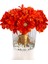 Gerbera Gold Turuncu 1