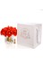 Gerbera Gold Turuncu 3