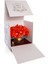 Gerbera Gold Turuncu 4