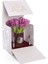 Silver Rozet Lale Mor 4