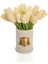 Gold Rozet Lale Krem 1