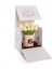 Gold Rozet Lale Krem 4