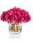 Gerbera Gold Fuşya 1