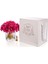 Gerbera Gold Fuşya 3