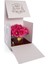 Gerbera Gold Fuşya 4