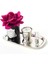Sihay Cam Sılver Bordo Set 2