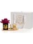 Siyah Cam Gold Bordo Set 2