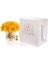 Gerbera Gold Sarı 3
