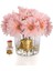 Gerbera Gold Pembe 2