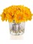 Gerbera Sılver Sarı 1