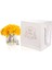 Gerbera Sılver Sarı 3