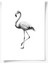 Karakalem Koleksiyonu Flamingo Posteri 1