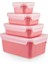 MasterSeal Color 4'lü Saklama Kabı Seti - Pudra 7