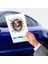 Fulcar Australian Shepherd Araç Stickerı 3