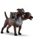 Schleich Hp Fluffy 13990 1
