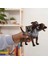 Schleich Hp Fluffy 13990 2
