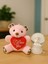 Sevgiliye Eşe Özel Günlere Hediye Sevimli Mini Peluş Ayıcık ve Mini Melek Kar Küresi Set Pembe 1