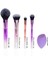 5'li Temel Makyaj Fırçası Seti, Şık ve Kullanışlı Güzellik Aksesuarları 3