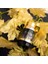 Odyssey Wild One Gold Edition 100ML 4