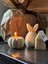 Vanilla Pumpkin 1
