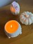 Vanilla Pumpkin 4