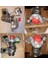 Turbo Komple P207-P308-P301-PARTNER Tepee-Fıesta 1.4 08 Focus 1.6 12 Tdci 95 Ps 1