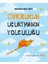 Sivriburun Uçurtmanın Yolculuğu 1