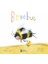 Bombus 1