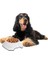 ® Silikon Kaydırmaz Taban Plastik Kedi ve Köpek Mama ve Su Kabı 2 L 2