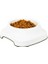 ® Silikon Kaydırmaz Taban Plastik Kedi ve Köpek Mama ve Su Kabı 2 L 4