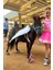 F.r.a. Clb Bling Hoof Botları (Çift) – Minyatür At ve Midilliler Için 4