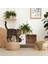 Meowcave Kedi Tuvaleti Mobilyası 3