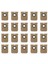 Conga Ana Sayfa 10000 /8090 Ultra / 9090 Aı / Eufy L50 / L60 Ses / Everybot Q5 / Roidmi Eve cc Vakum Parçaları (Yurt Dışından) 1