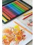 Polychromos 36 Renk Boya Kalemi, Örtücü ve Parlak Renkler, Yüksek Pigmentli, Metal Kutulu 6