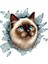 Fulcar Siamesse Araç Stickerı 2