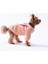 Pembe Dublin Hopper Tavşan Kulaklı Kedi Köpek Sweat- Kedi Köpek Kıyafeti 4