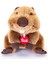 Trudı Beaver Joseph 24464 2